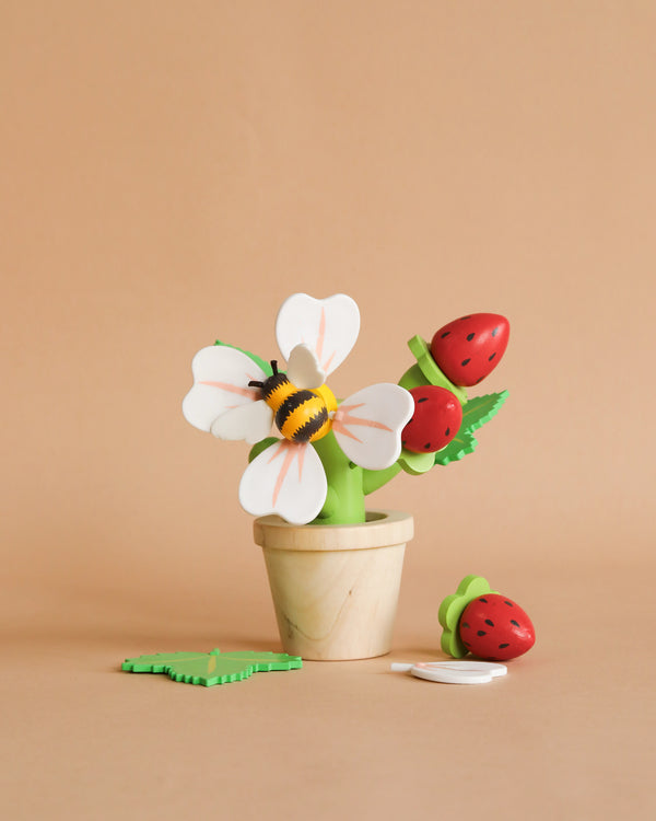 A strawberry flower pot display with a white and yellow daisy in a small wooden pot, complemented by decorative magnetic bumblebee and green leaves on a beige background.