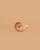 A single brown nautilus shell with dark lines sits upright on a light brown background, evoking a minimalist, natural scene and recalling the Bumbu Handmade Wooden Ocean Set.