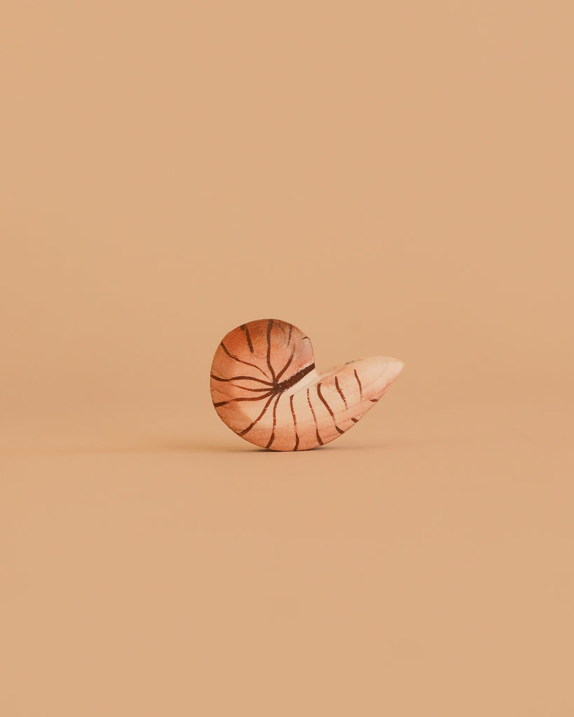 A single brown nautilus shell with dark lines sits upright on a light brown background, evoking a minimalist, natural scene and recalling the Bumbu Handmade Wooden Ocean Set.