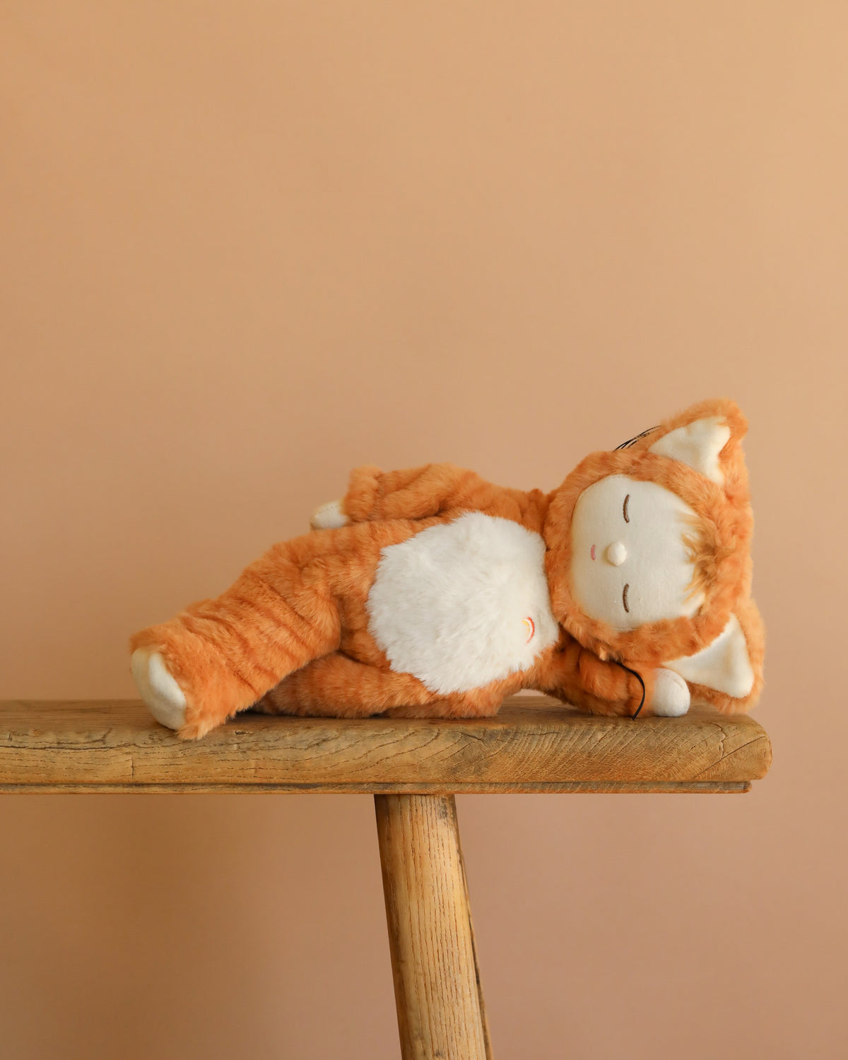 海外作家　ベルギー Lily Bear siam kitten 海外作家 ベルギー Lily Bear siam kitten Siamese Cats by Stark