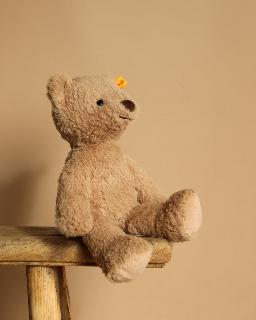 A Thommy Teddy Bear, a 12-inch brown plush toy from Steiff with a small yellow tag in its ear, sits on a wooden stool against a plain, light brown background, facing slightly to the right.