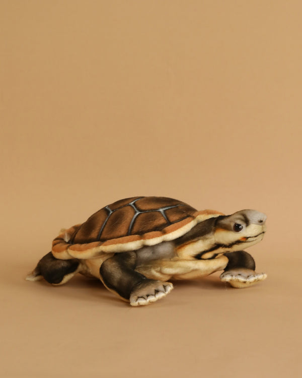 A lifelike River Turtle Stuffed Animal from HANSA animals positioned on a solid beige background, displaying realistic textures and colors on its shell and body.