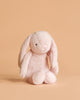 The Snuggle Bunnies - Penelope - Blossom is a soft, light pink stuffed bunny with long floppy ears, sitting upright against a plain peach background—an adorable addition to any plush collection.