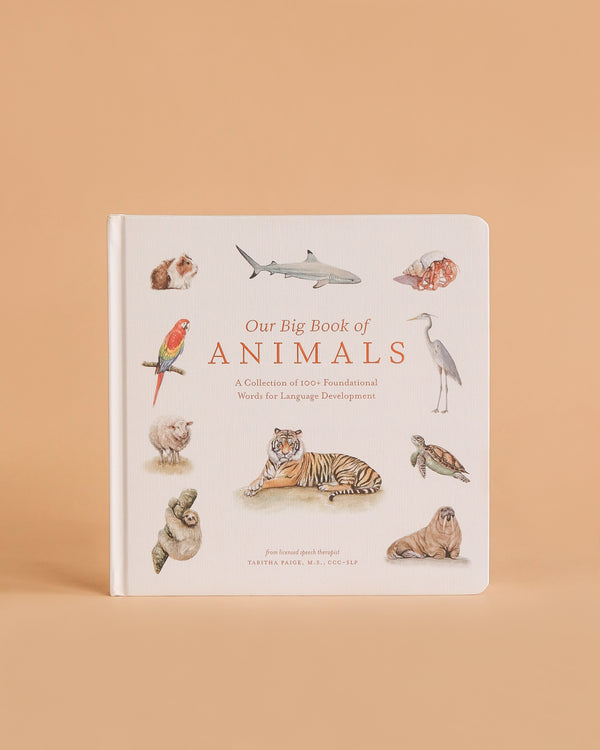 Our Big Book of Animals (Board Book) introduces kids to animal vocabulary with illustrations of a parrot, shark, tiger, rabbit, and owl on a light background set against a peach-colored surface.