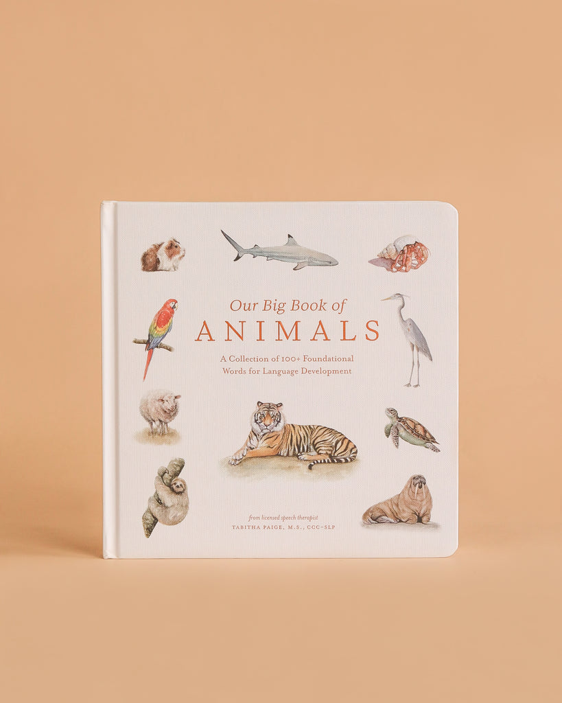 Our Big Book of Animals (Board Book) introduces kids to animal vocabulary with illustrations of a parrot, shark, tiger, rabbit, and owl on a light background set against a peach-colored surface.