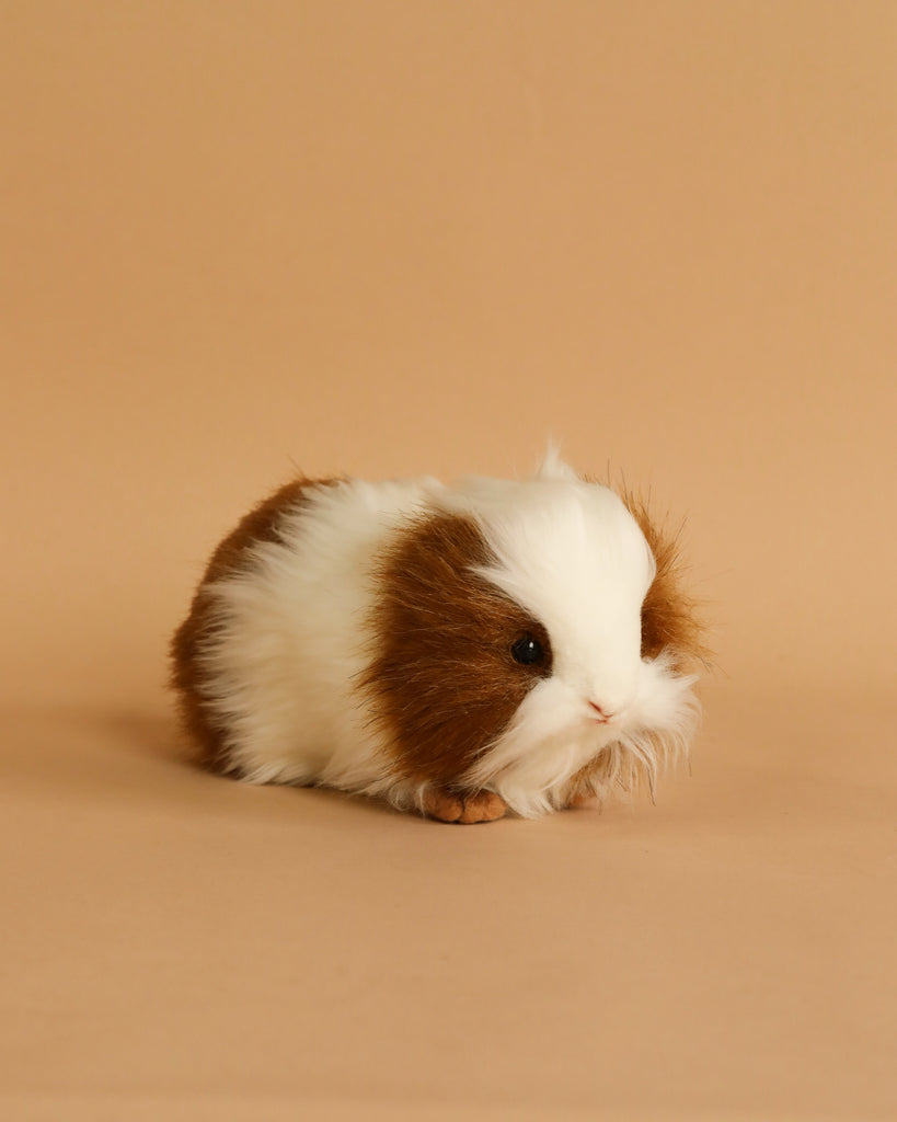 A fluffy brown and white Guinea Pig Stuffed Animal crafted from high quality plush materials, lying on a beige background, looking to the side with a curious expression.