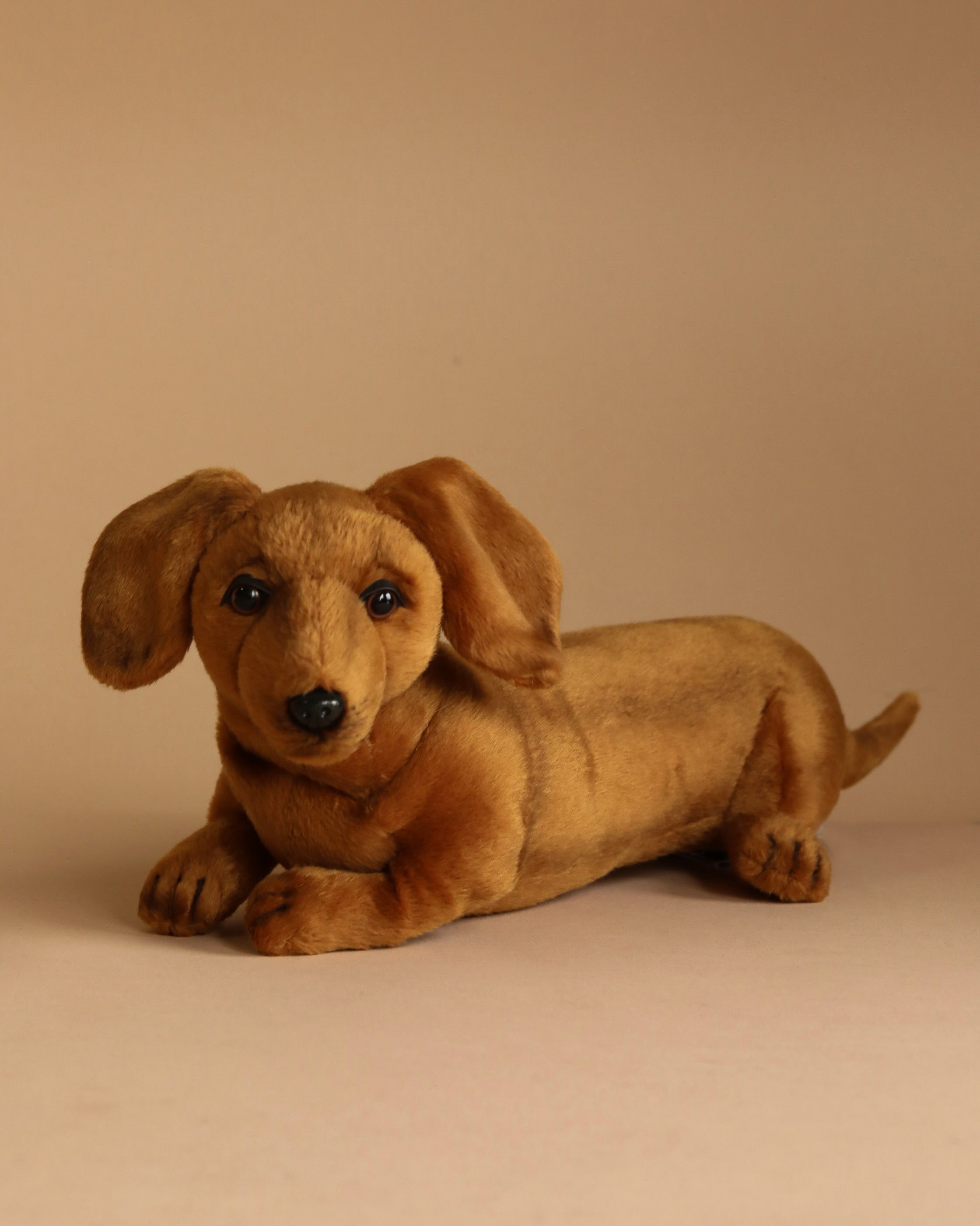 Dachshund Puppy Dog Stuffed Animal– Odin Parker