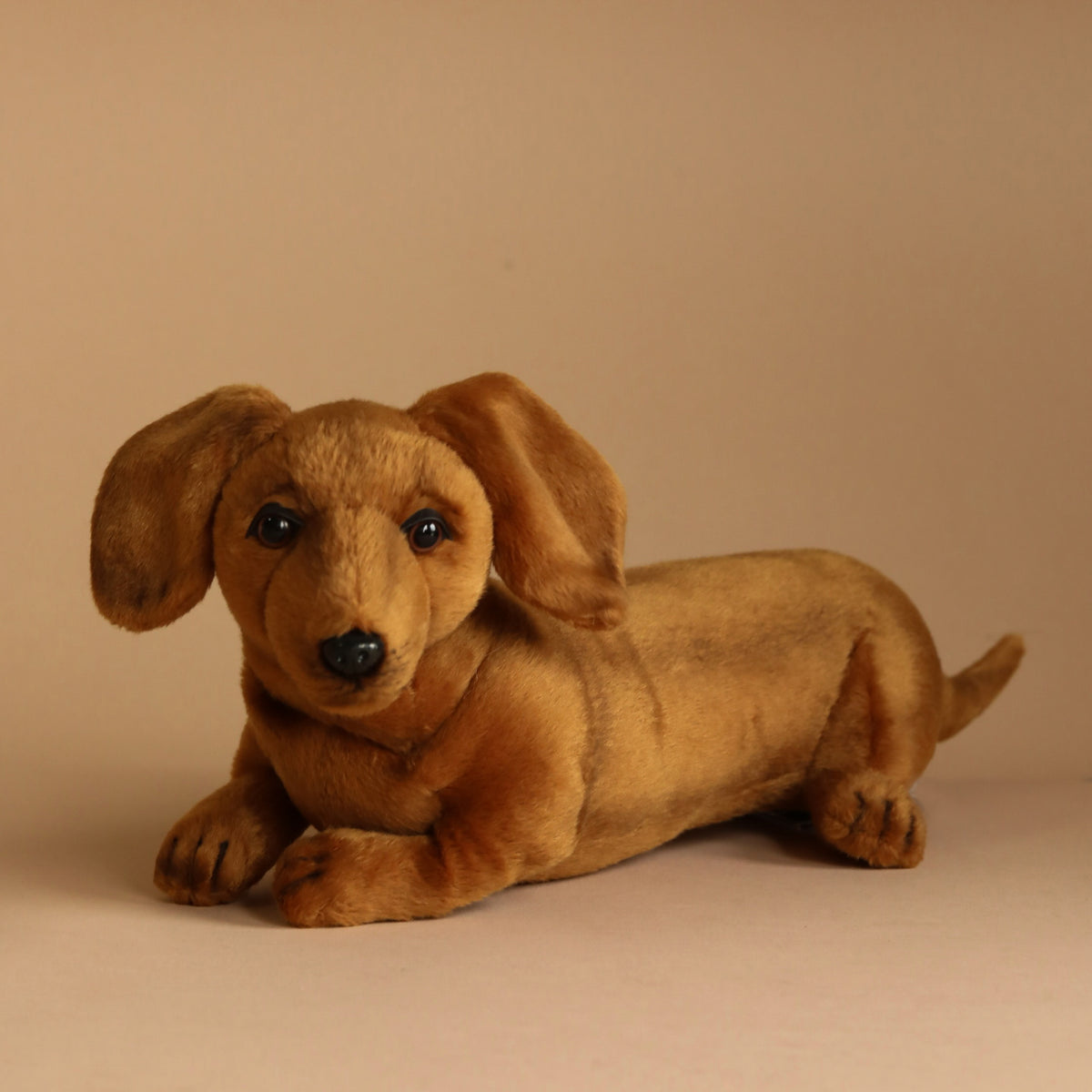 Dachshund Puppy Dog Stuffed Animal Odin Parker