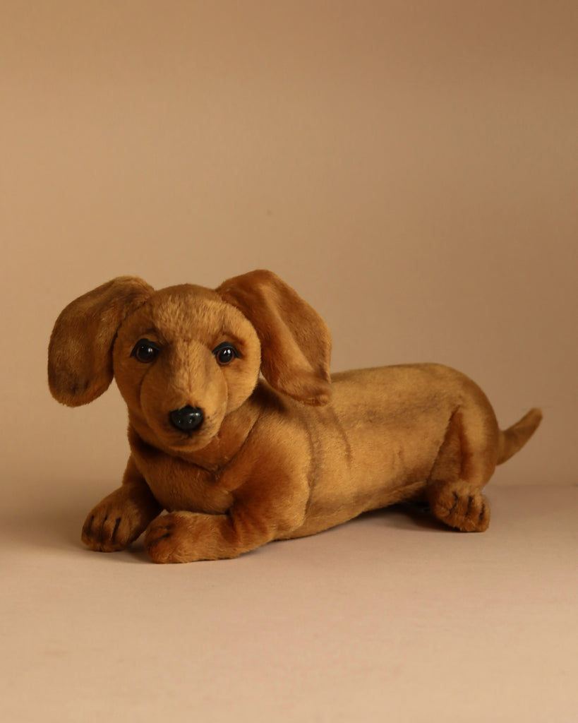 A realistic Dachshund Puppy Dog Stuffed Animal lies on a beige surface. The toy dog has caramel-brown fur, floppy ears, small black eyes, and a black nose. Hand-sewn by HANSA animals, the neutral background highlights the lifelike features of this plush toy.