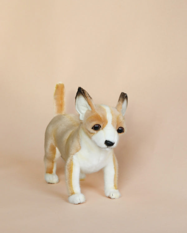 Chihuahua dog stuffed animal