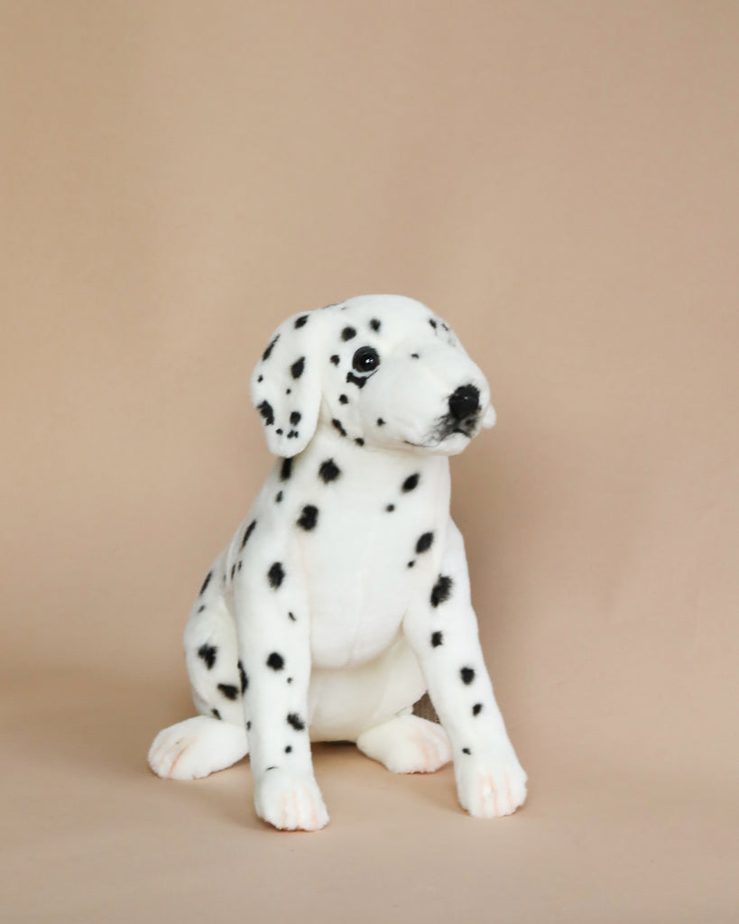 A Sitting Dalmatian Dog Stuffed Animal with black spots sits against a plain, light brown background. The toy has a realistic appearance, featuring prominent, alert eyes and a gentle pose. It is one of