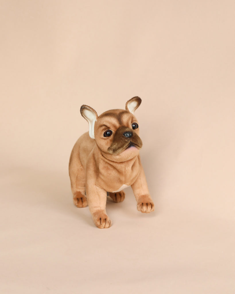 A realistic model of a French Bulldog Beige Dog Stuffed Animal sitting against a plain, light-colored background. The model showcases detailed facial features, folded ears, and is crafted as a hand-sewn plush.