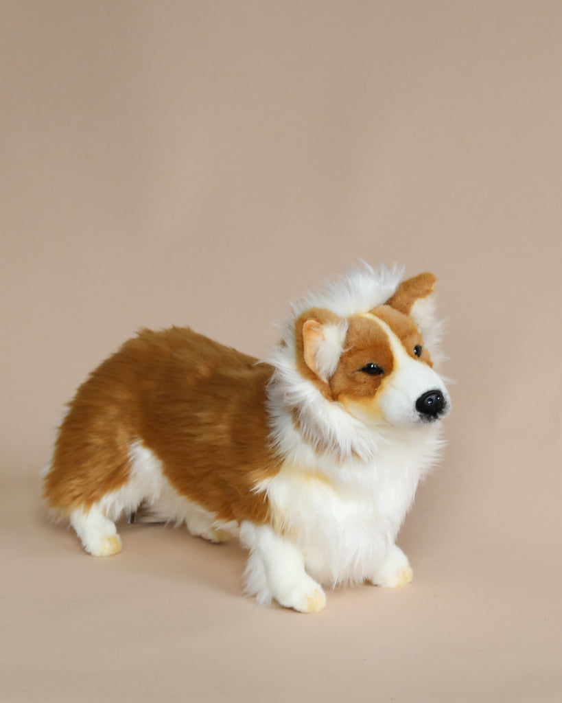 A fluffy Welsh Corgi Dog Stuffed Animal, artisan hand-sewn from high-quality materials, sits gracefully against a soft beige background, its alert gaze directed to the side.