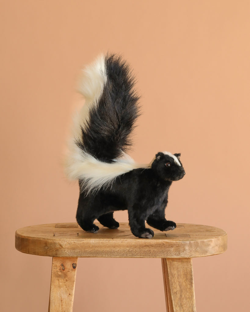 The Skunk Stuffed Animal, a realistic black and white plush toy, stands on a wooden stool with its fluffy tail raised high against a plain light brown background.