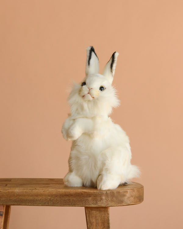 The White Bunny Stuffed Animal sits upright on a wooden stool against a peach background, highlighting its realistic plush design and quality craftsmanship.
