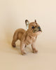 A realistic stuffed animal of a French Bulldog Beige Dog with a curious expression, standing on a plain light beige background.