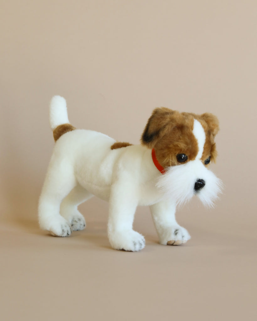 A Jack Russel Terrier Dog Stuffed Animal with brown and white fur, a red collar, and a curious expression on a beige background from the HANSA animals collection.