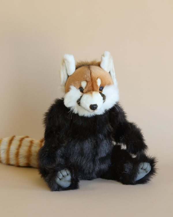 A plush toy of a Red Panda Stuffed Animal sitting against a beige background, featuring distinctive black and white facial markings and a striped tail. This HANSA animal showcases lifelike detailing characteristic of hand-sewn.