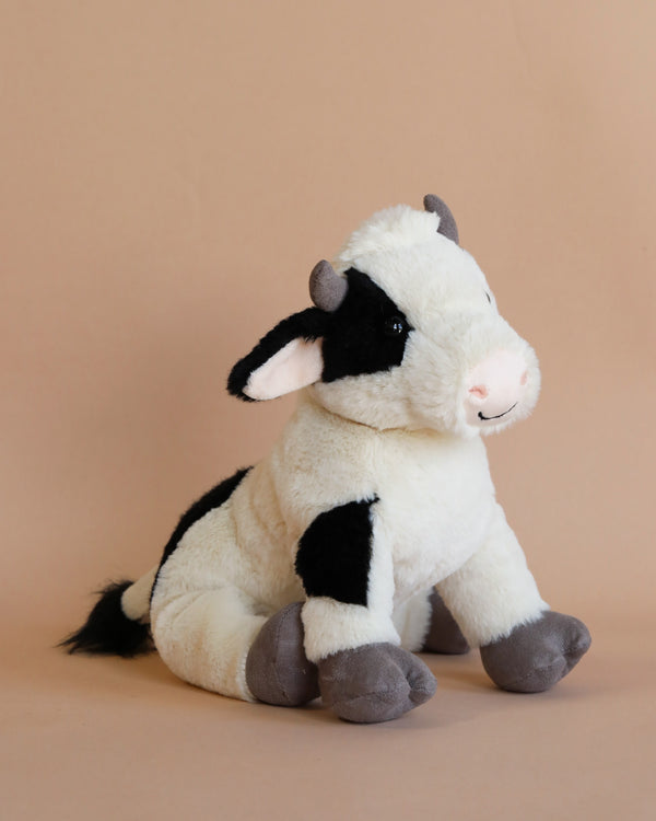 A Steiff, Cow Stuffed Animal with black and white patches, sitting against a light brown background. It has a friendly expression and soft, prominent features adorned with a Steiff button in ear.