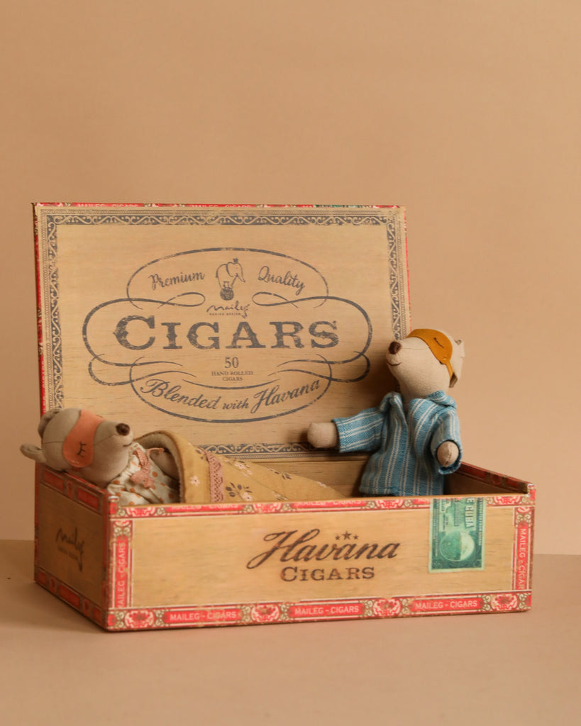 Two small teddy bears, one lying down and the other sitting up, are nestled inside an open vintage Havana cigar box with decorative labels and text on the lid and side—evoking a cozy scene reminiscent of the Maileg Bedroom Set with Mum & Dad.