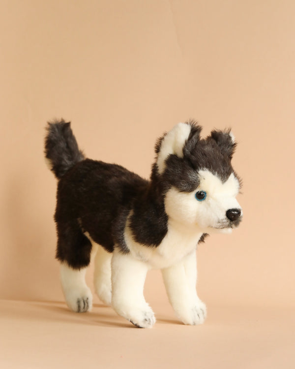 A Huskey Puppy Stuffed Animal with striking blue eyes, featuring high-quality man-made materials and black and white fur, posed against a soft beige background.