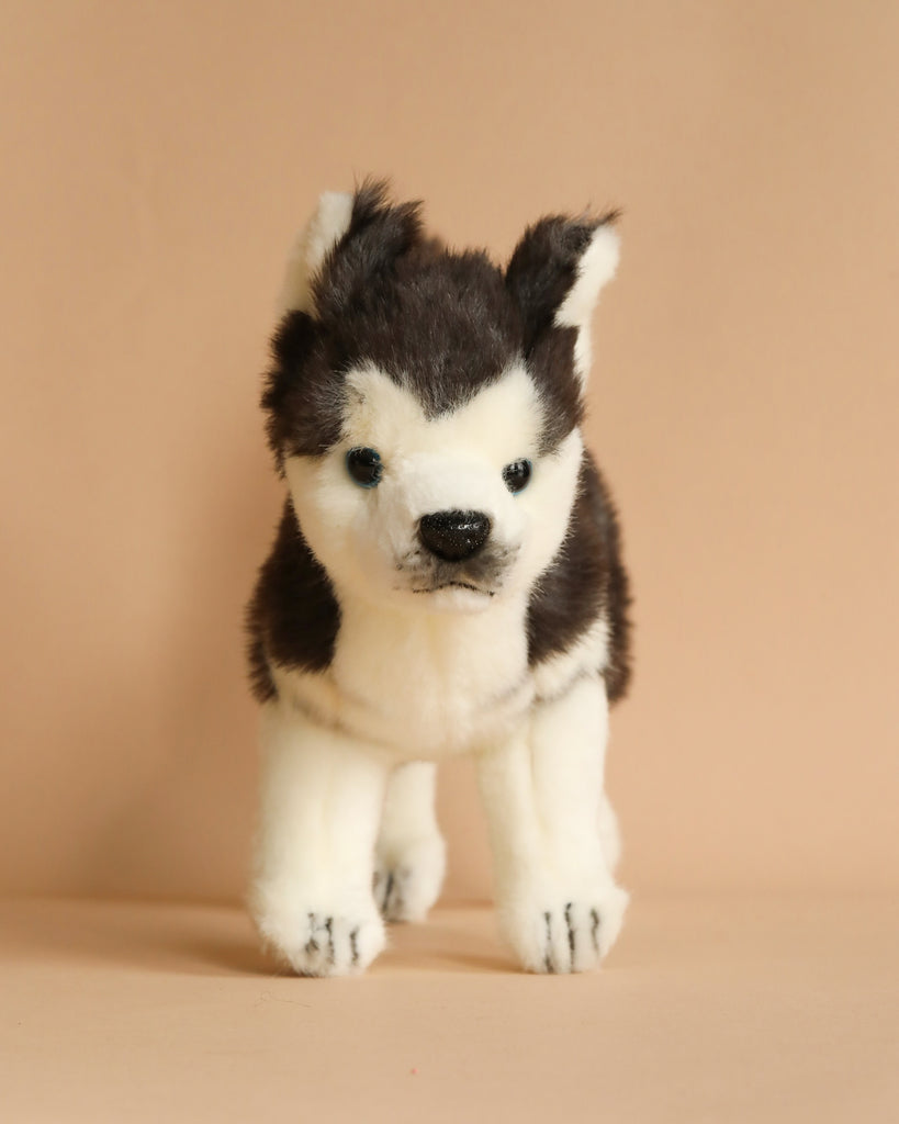 A Husky Puppy Stuffed Animal standing against a plain beige background. The toy has black and white fur, upright ears, and portrays a realistic plush animals appearance.