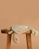 The Senger Naturwelt Cuddly Animal - Linen Crab, Small sits on a wooden stool against a light brown background—this soft plush toy is ideal for comfort and doubles as an organic cotton heat pad.