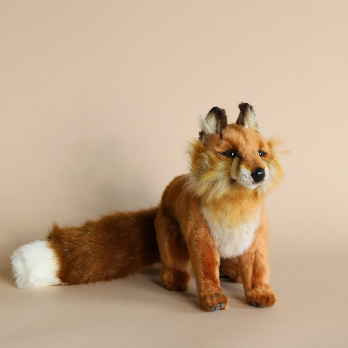 Fox teddy online