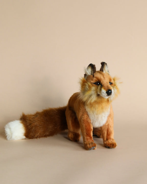 A plush toy of a Sitting Red Fox Stuffed Animal with realistic detailing, featuring a fluffy orange and white fur, black-tipped ears, and a long bushy tail, set against a soft tan background. This artisan handcrafted.