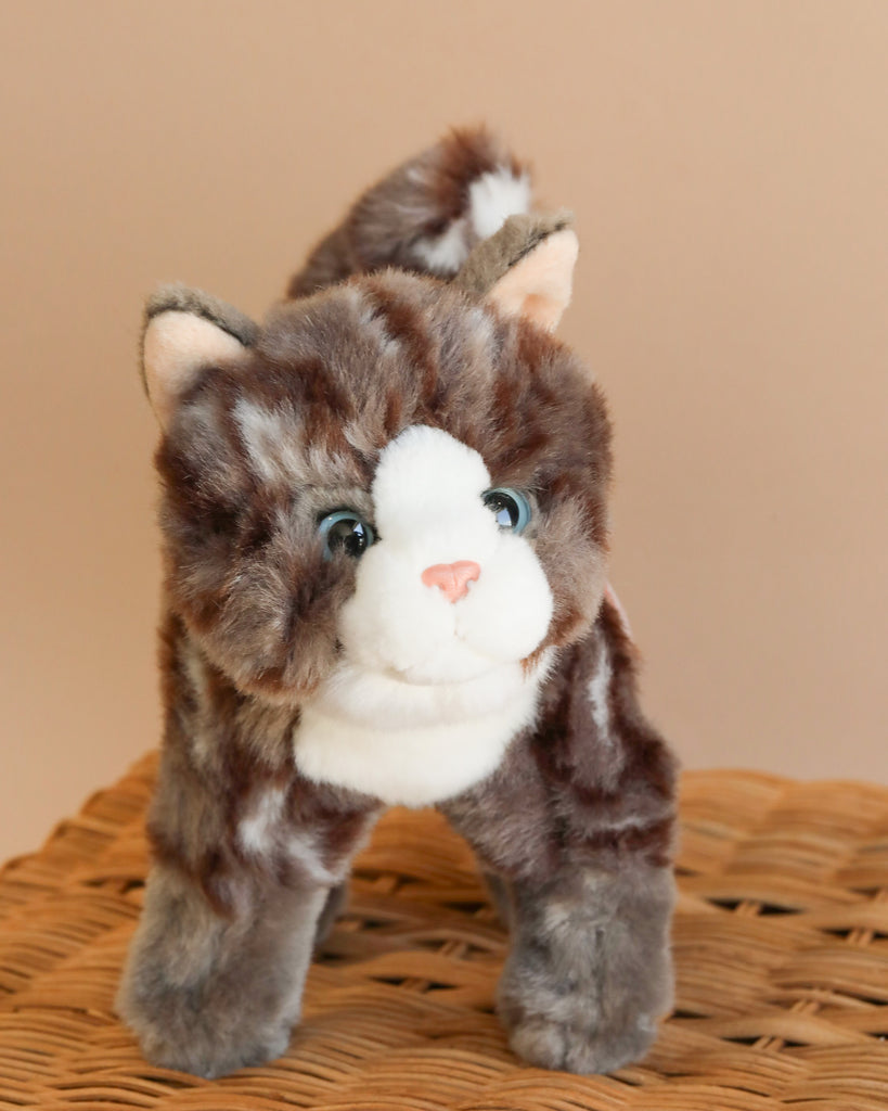 Cat stuff toys on sale