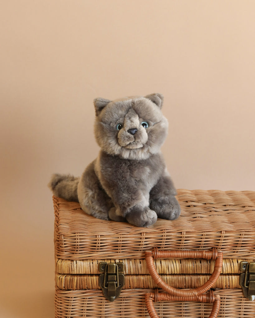 The Teddy Hermann Gray Sitting Cat Stuffed Animal, with its high-quality plush fur and blue eyes, sits atop a woven wicker basket adorned with leather straps. The plain beige wall in the background creates a warm and cozy atmosphere, while the cat's neutral expression adds to the charm of this child-friendly toy.