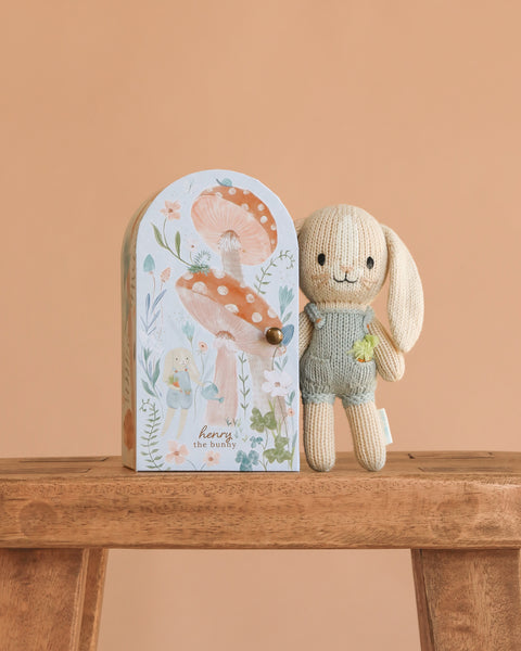 Cuddle + Kind Tiny Henry The Bunny– Odin Parker