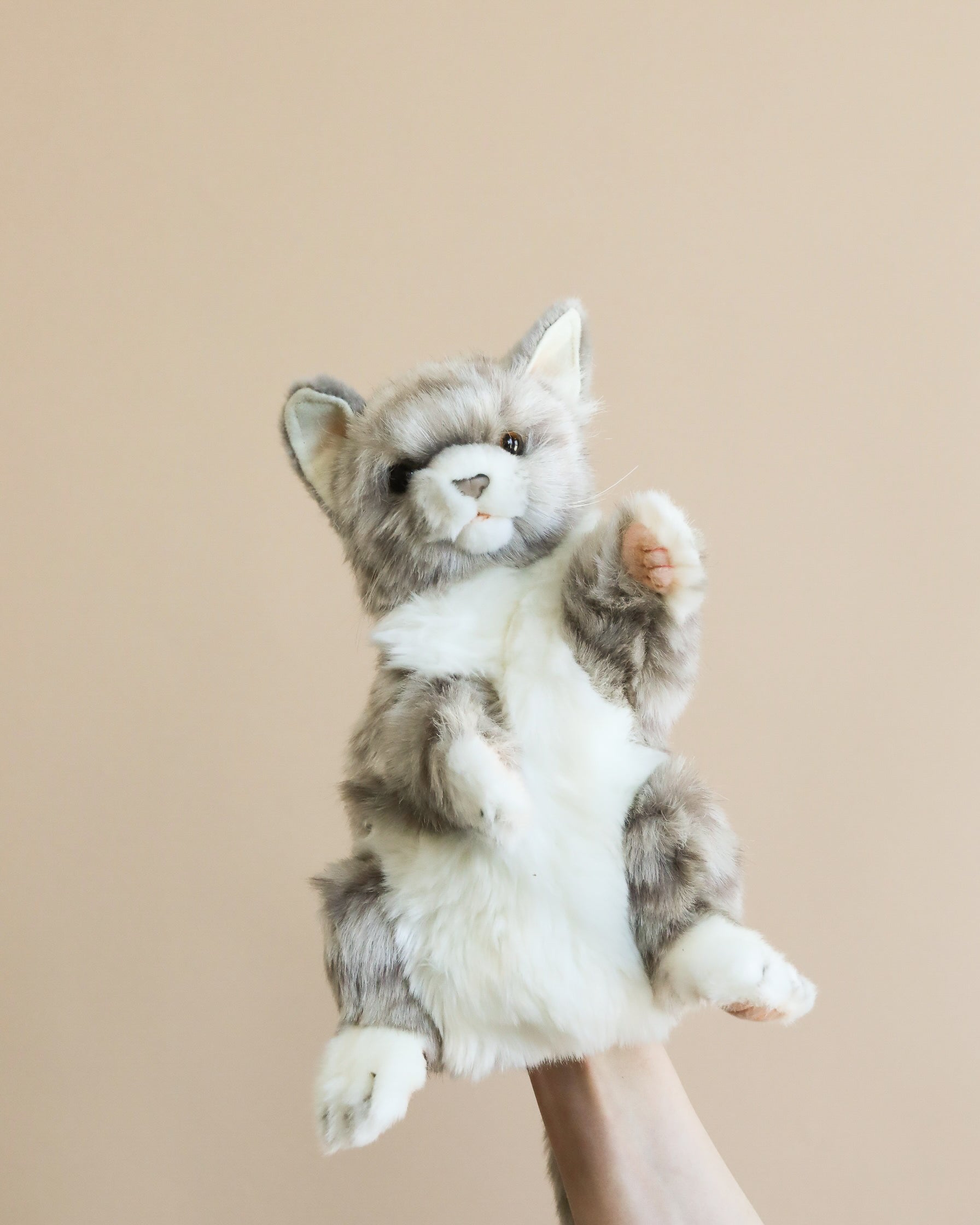 cat puppet