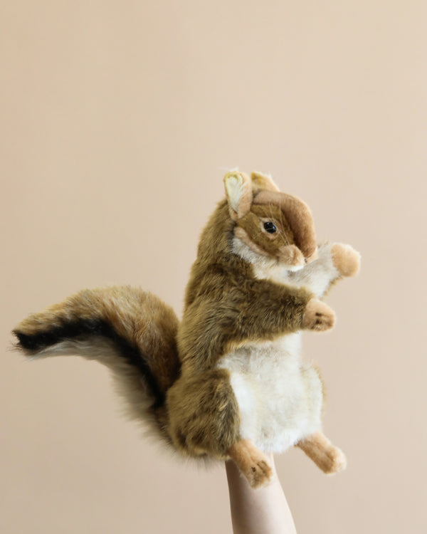 A Squirrel Puppet is perched on a finger, featuring realistic brown and white fur and a bushy tail, against a soft beige background.