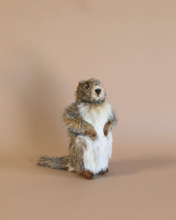 A small, fluffy Groundhog Baby Stuffed Animal standing upright on a plain beige background, looking directly at the camera with an inquisitive expression, resembling a hand sewn plush animal.