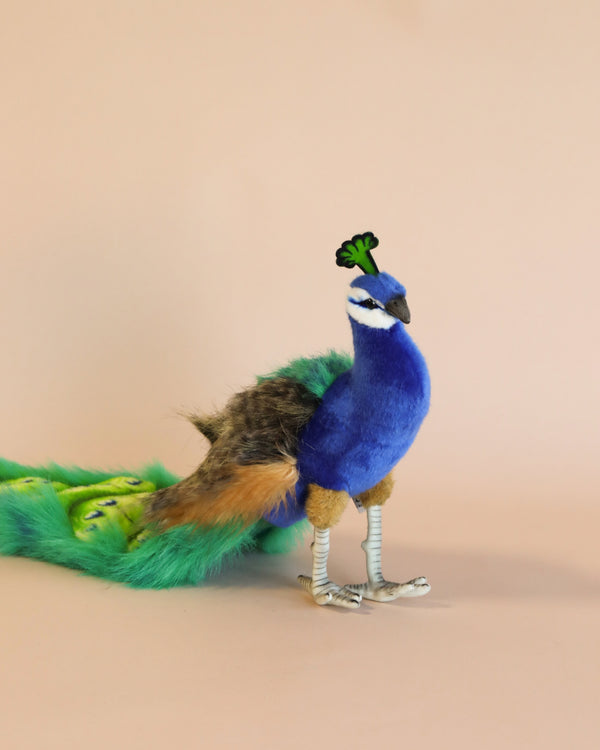 A Peacock Stuffed Animal with a blue body, long green tail, and detailed feather patterns featuring realistic features, standing against a soft peach background.