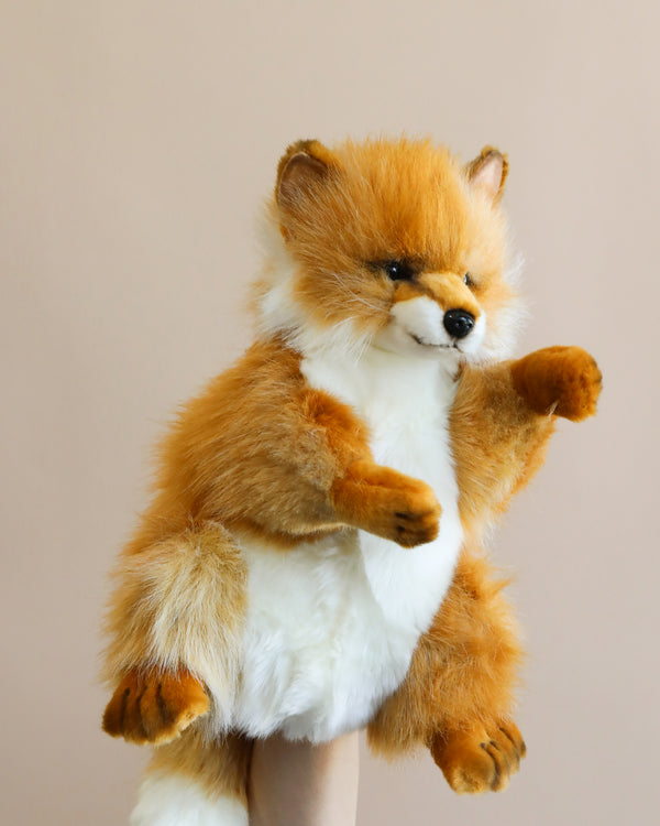 A Fox Puppet with fluffy orange and white fur, standing upright on its hind legs, held by a human hand against a soft beige background. This realistic stuffed animal is designed to capture the essence of