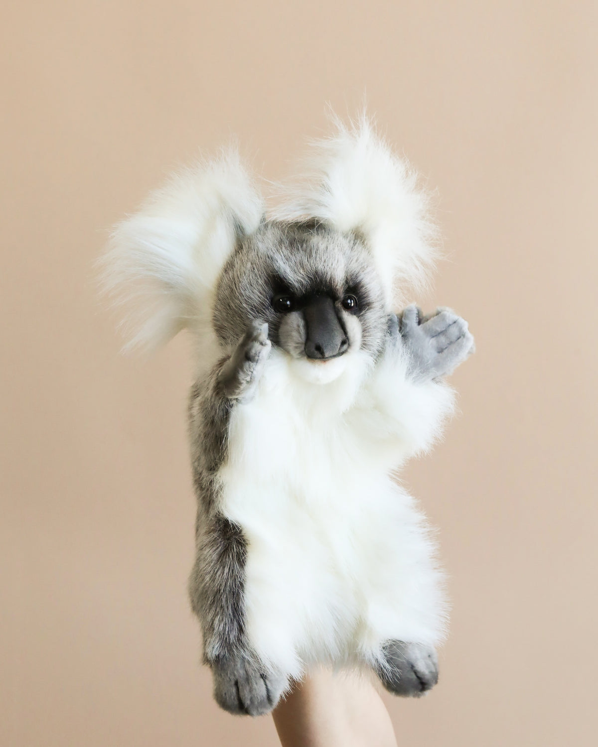 Lost 'n Founds/ロストアンドファウンド・ぬいぐるみ・わんぱくコアラ Koala Puppet– Odin Parker