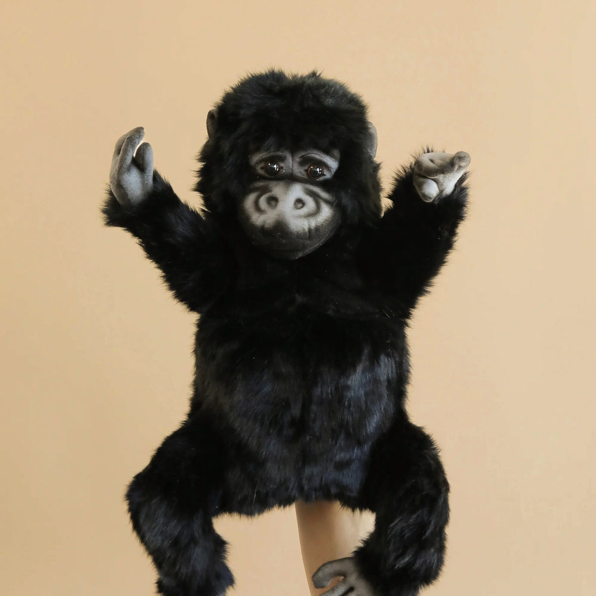 Gorilla Puppet– Odin Parker