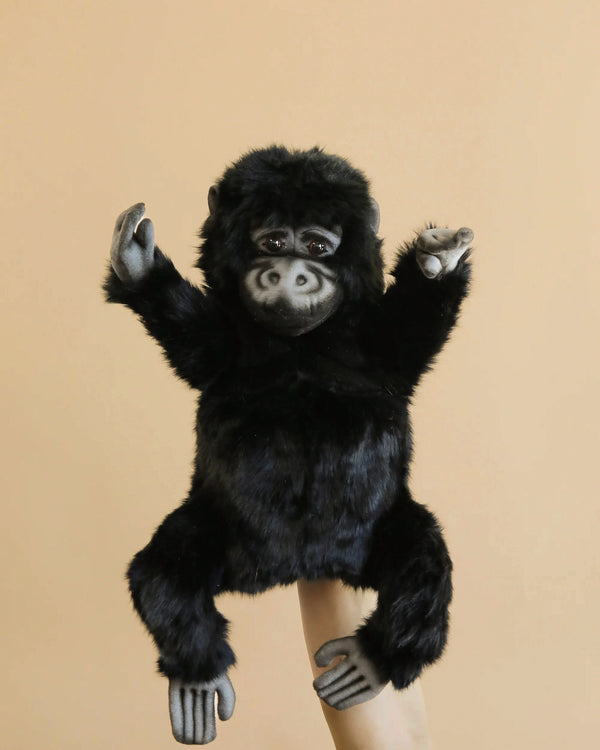 A person holding a Gorilla Puppet, with the head, body, and limbs visible, stands against a plain beige background, arms raised up slightly. The face of the puppet features prominent, expressive eyes.
