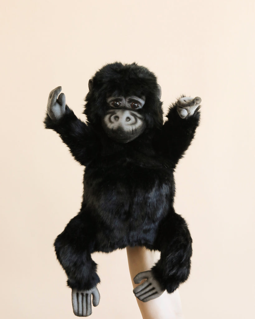 A fluffy black Gorilla Puppet with expressive eyes and raised arms, perched on a human's hand against a soft peach background.