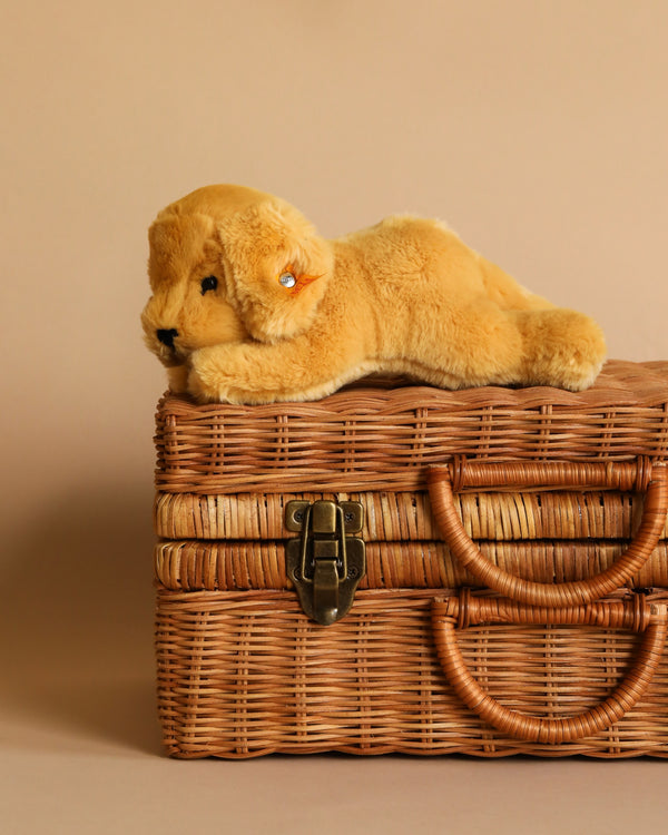 A Steiff Golden Retriever Dog stuffed animal lying atop a woven wicker basket with a metal clasp, set against a soft beige background. The stuffed animal appears soft and lifelike with attentive eyes, distinguished