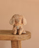 The Maileg Puppy in Dusty Blue Pet Carrier - Dusty Powder, a small light brown plush with floppy ears and collar, sits on the edge of a wooden bench against a plain beige background.