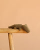 The Maileg Crocodile, Mini - Olive Green rests on the edge of a light wooden table against a plain beige background, perfect for fans of huggable stuffed animals.