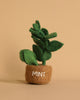 The Handmade Felt Herb Pot is a small, charming felt plant meticulously designed to resemble a mint plant. It comes in a rustic brown felt pot with the word "MINT" elegantly inscribed on it. Made from sustainable materials, this delightful piece is an ideal addition to any pretend kitchen. The background is set against a simple beige color.