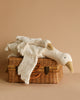 Two Senger Naturwelt Cuddly Animals - White Goose, crafted from organically grown cotton, lie on top of a woven wicker basket with leather straps and a metal clasp. The background is a plain beige wall, creating a warm and cozy atmosphere.