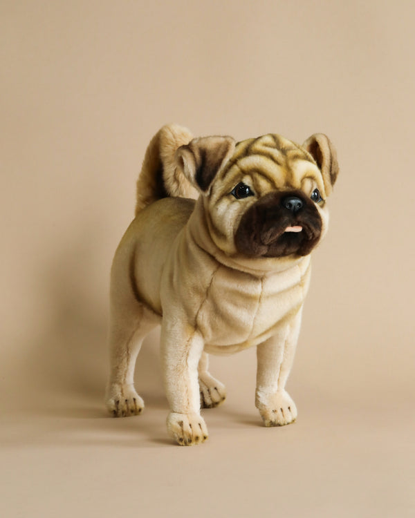 A realistic Pug Dog Stuffed Animal with deep wrinkles and a quizzical expression stands against a plain beige background. The dog is light brown with black detailing around its nose and eyes, embodying.