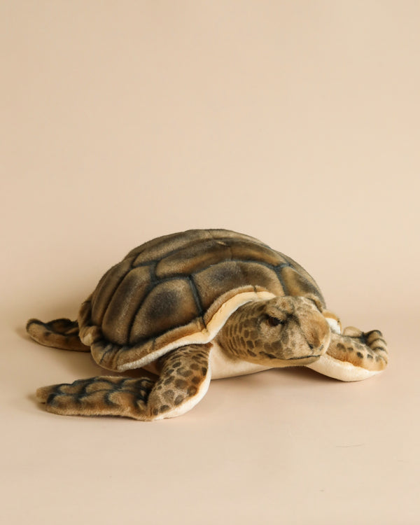 A Sea Tortoise Stuffed Animal with an artisan-crafted design, featuring a textured shell in shades of brown and grey, and flippers with a pattern that mimics a real turtle's, set against a