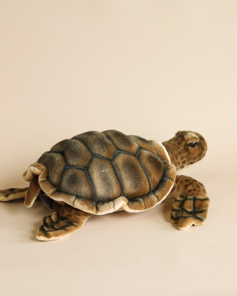A Sea Tortoise Stuffed Animal, hand-sewn with a detailed, textured shell and realistic features, positioned upright against a neutral beige background.