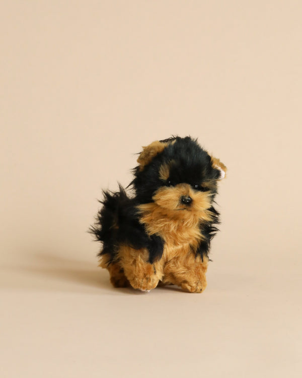 A small, fluffy Yorkie Tea Cup Dog Stuffed Animal sits facing the camera on a pale, neutral background, its fur realistically portrayed in black with tan patches around its face and paws.